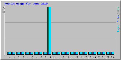 Hourly usage for June 2015